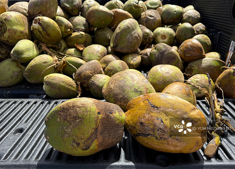 绿色椰子图片素材