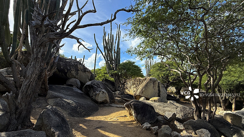 英安岩巨石地貌与仙人掌图片素材