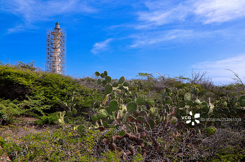 加勒比灯塔修复图片素材