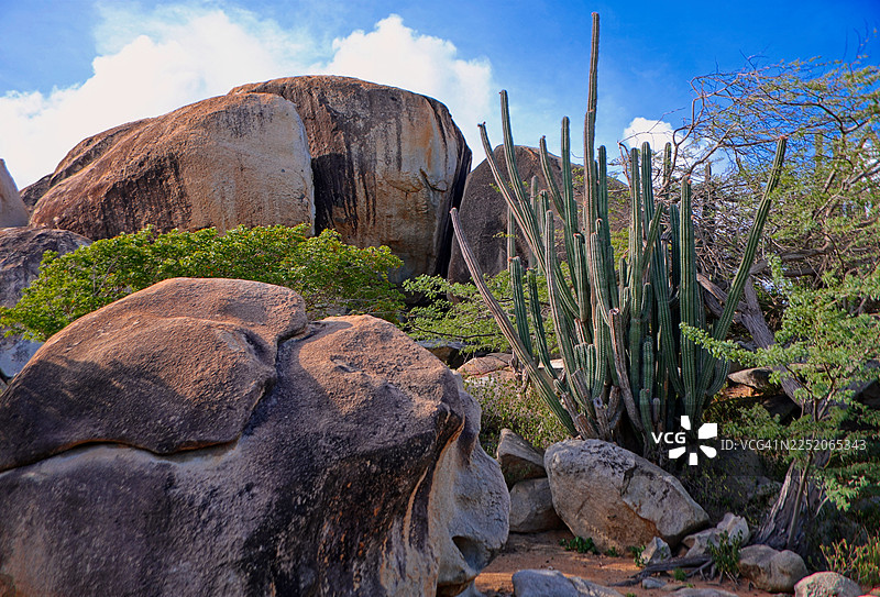 片岩巨石岩层与仙人掌图片素材