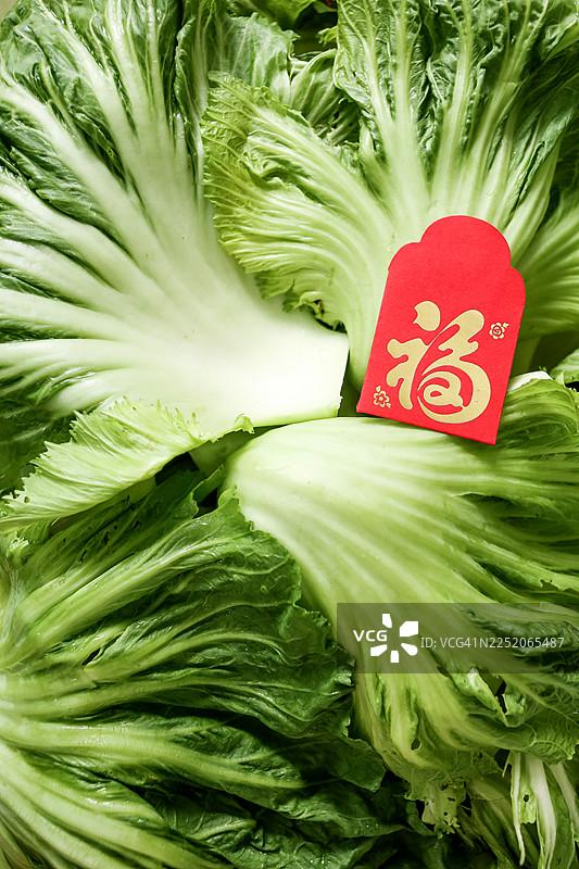 晒干新鲜的芥菜以制作腌菜图片素材