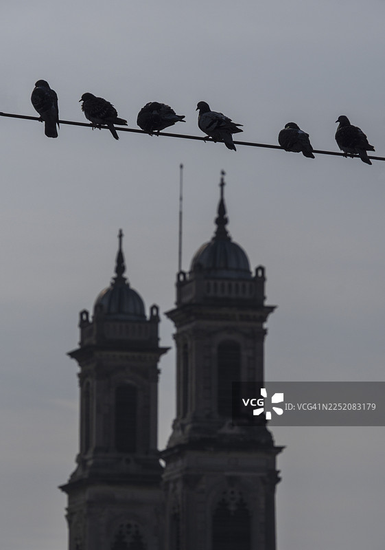 土耳其伊斯坦布尔塔克西姆哈吉亚特里亚达教堂钟楼上空的鸽子剪影图片素材