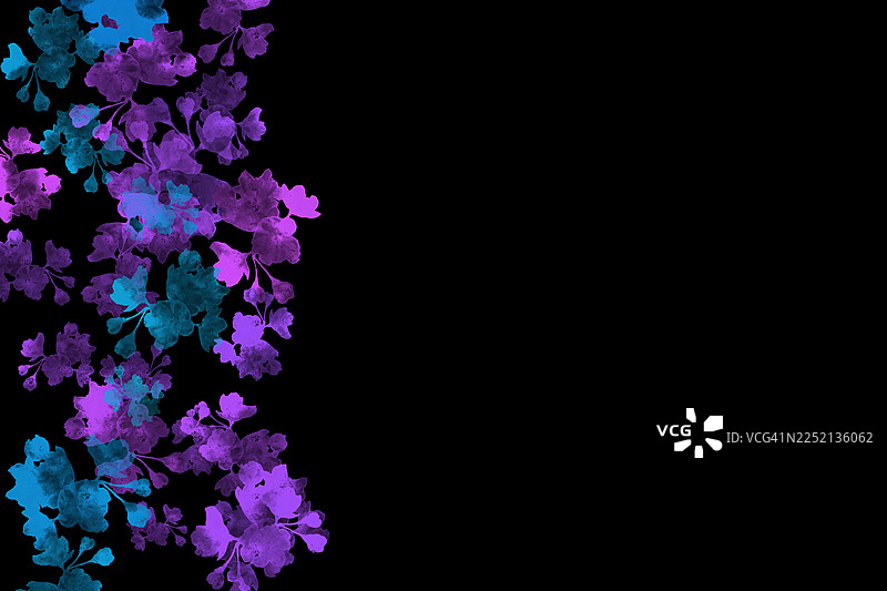 黑色背景上抽象水彩画，描绘了带有紫色和蓝色花朵及叶子的花卉。图片素材