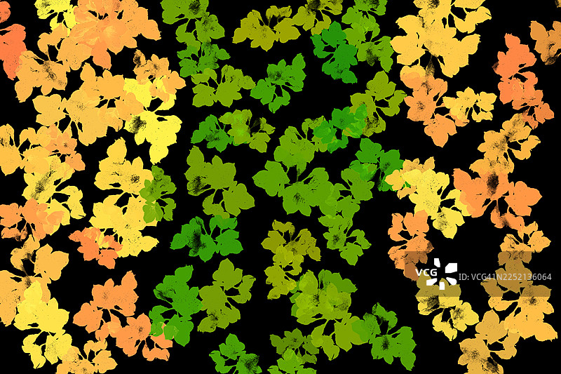 黑背景上抽象水彩花卉，有绿色、黄色和橙色花朵及叶子。图片素材
