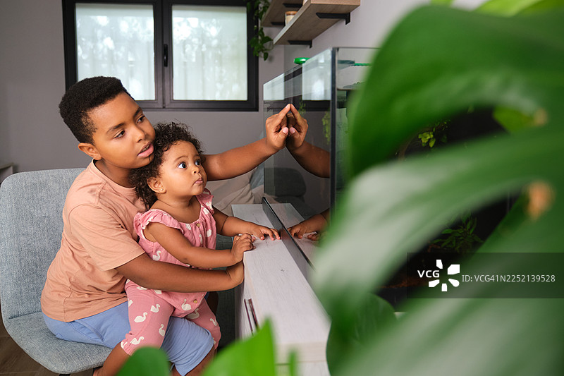 哥哥和年幼的弟弟在家一起探索鱼缸图片素材