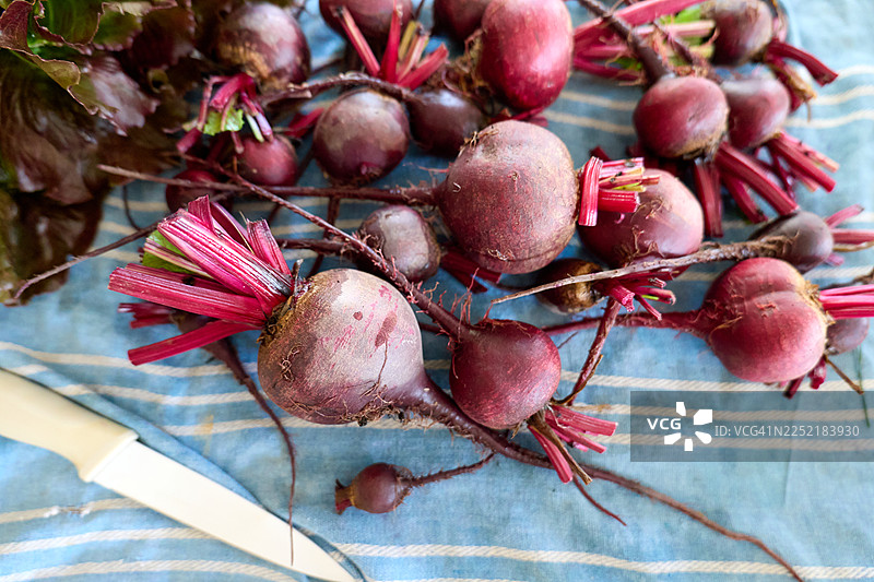 桌子上堆放着一堆生的有机红甜菜根。图片素材