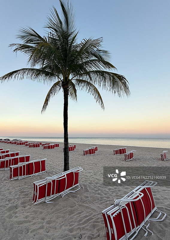 夕阳下的沙滩上，棕榈树旁堆放着一排排太阳椅，地点为美国佛罗里达州劳德代尔堡。图片素材