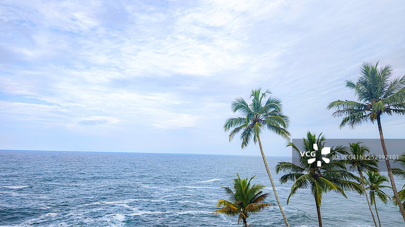 印度喀拉拉邦，阿拉伯海边的热带棕榈树在晴朗多云的天空下。图片素材