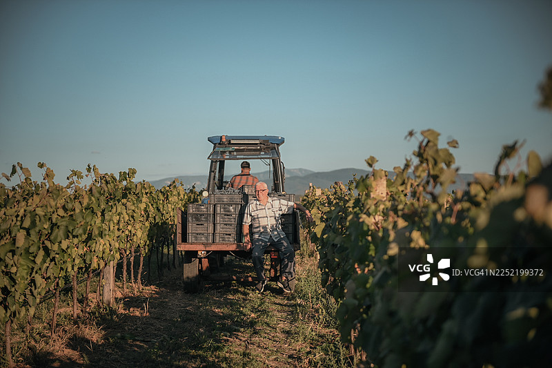 丰收时节图片素材