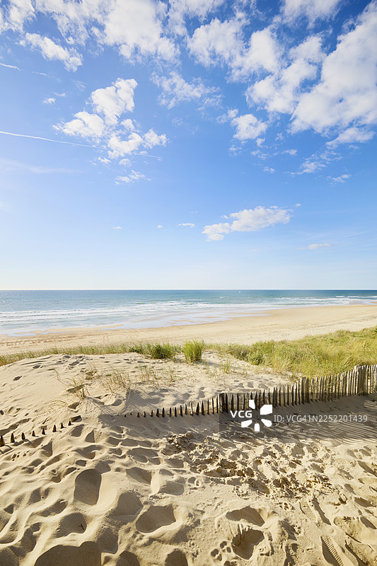 蓝天白云下，越过沙丘草地和栅栏，望向海滩和大海的景象图片素材