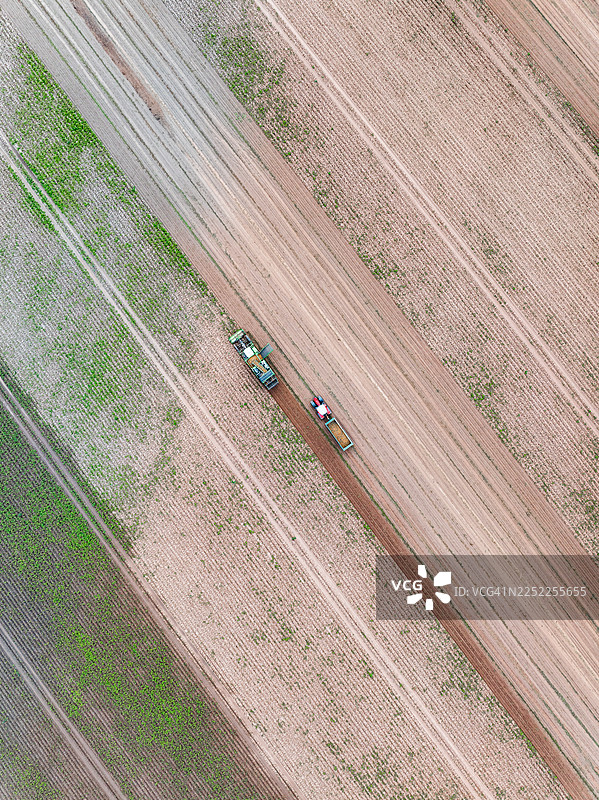 从无人机视角拍摄的英格兰联合王国斯塔福德郡田野里收割土豆的两个农业机械图片素材