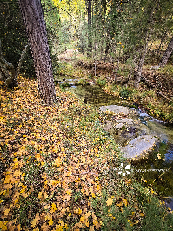 瓜萨兰马科河图片素材