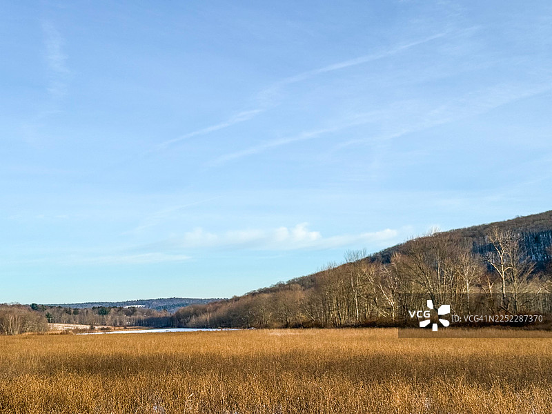 金色的田野，有雪、光秃的树木和希尔斯代尔的山丘图片素材