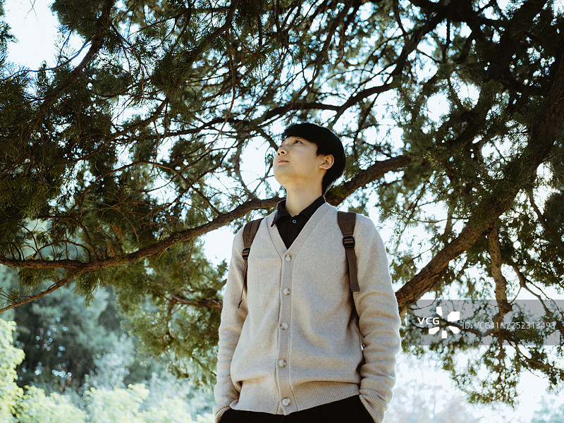 一位亚洲男子在柏树下享受大自然，与自然亲近。图片素材