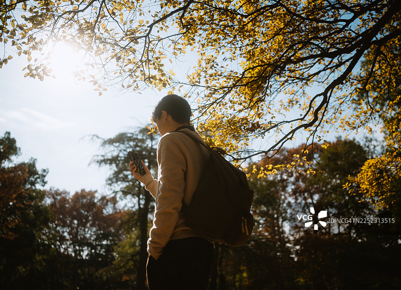 一个亚洲男人站在树下使用智能手机，沐浴在柔和的阳光下，营造出宁静而温暖的秋日氛围。图片素材