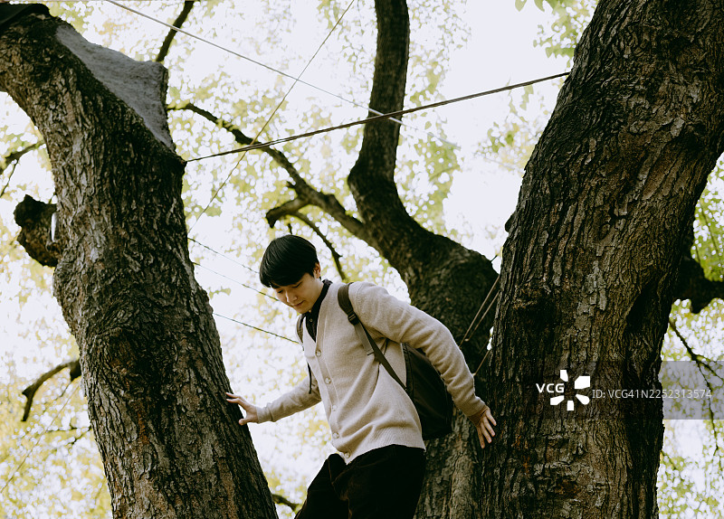 一个男人站在一棵高耸的树的树干上图片素材