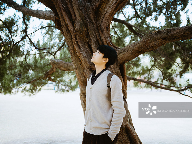 一位亚洲男子在丝柏树下享受大自然，与自然连接。图片素材