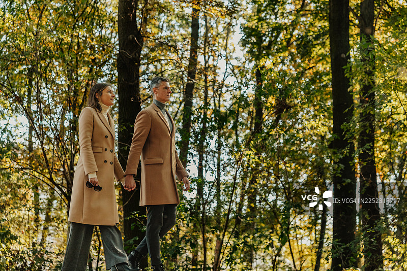 一对情侣在秋日阳光下携手漫步于宁静的柏林森林图片素材