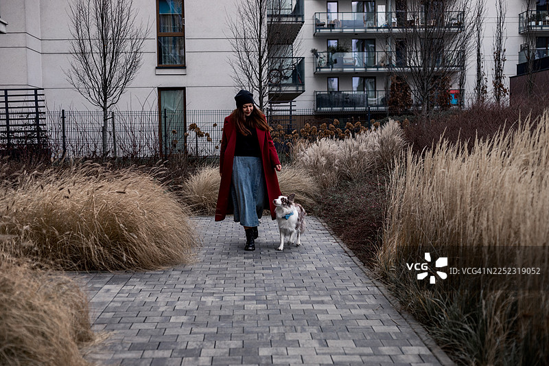 一位女士在都市小径上遛狗，小径旁有高高的草丛和现代化的公寓楼图片素材