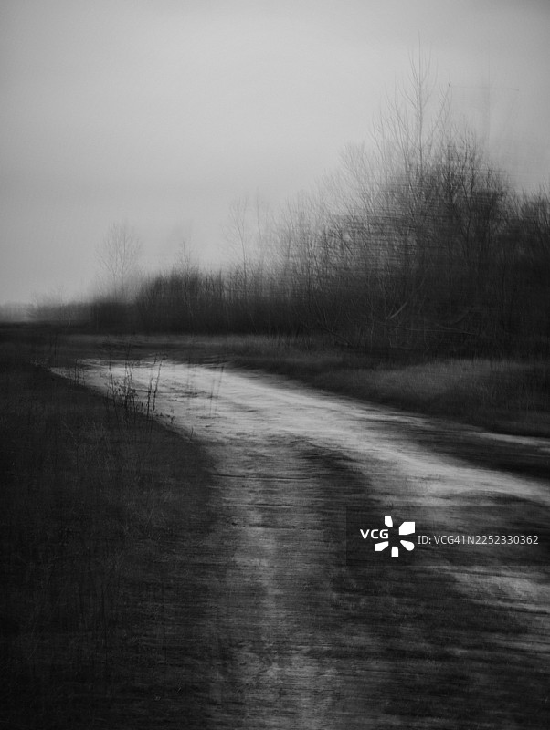 一条弯曲的土路，在平坦开阔的风景中，通向一排因刻意相机移动而模糊不清的无叶灌木和幼树。苍白的道路与深色的前景植被形成对比，天空则是柔和的阴天。图片素材