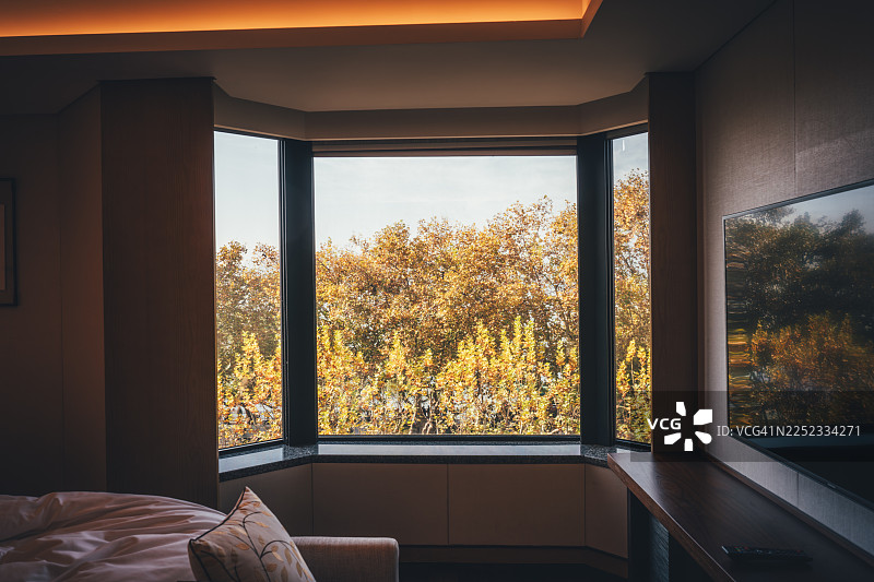 杭州浙江中国，带有秋季落叶景观的舒适现代卧室图片素材