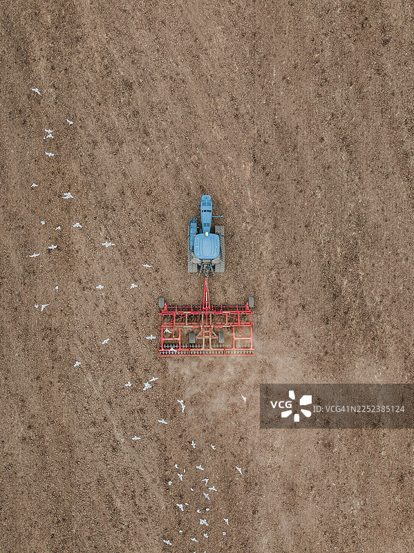 无人机视角拍摄的拖拉机在干涸的田地里耕作，几只鸟儿在后面飞翔，地点是英国埃塞克斯郡的邓吉半岛。图片素材