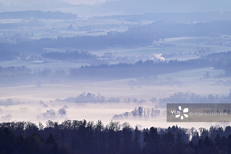 早晨薄雾中的草地和树木，位于瑞士阿尔高州梅伦施万德的罗伊施塔尔图片素材