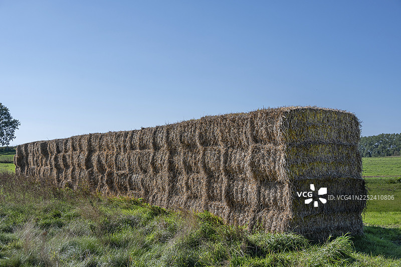 草垛堆在草地边缘,位于德国梅克伦堡-前波美拉尼亚州达斯区阿伦斯霍普图片素材