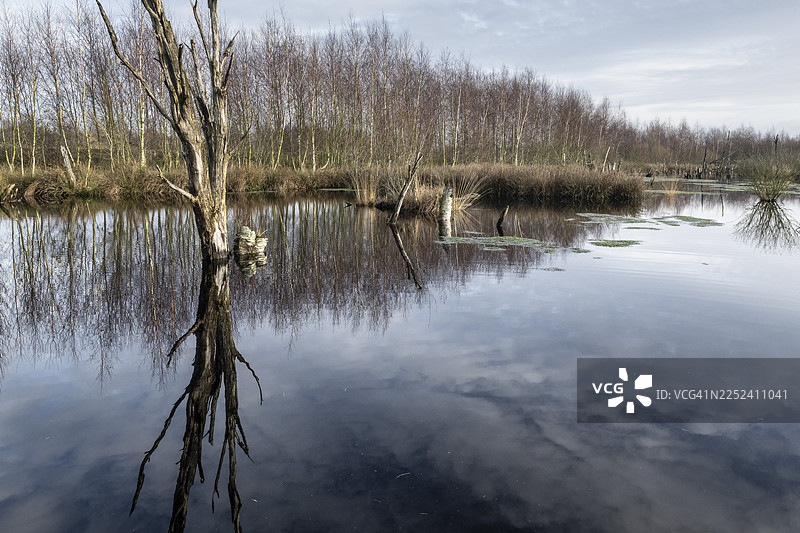 荷兰德伦特省巴格芬沼泽地图片素材