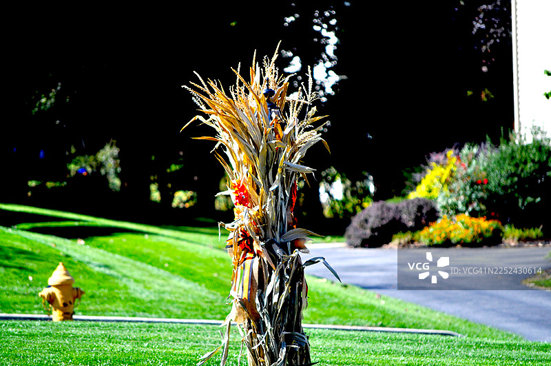 秋季户外装饰图片素材