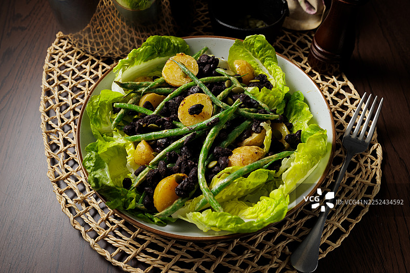 素食尼索瓦沙拉图片素材