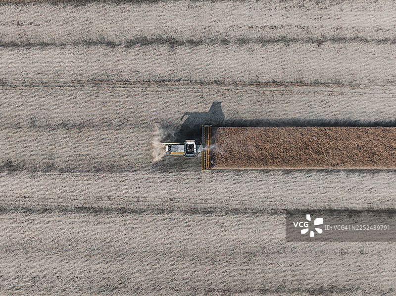 夏日农田里工作的联合收割机，从正上方拍摄，位于英格兰米德兰兹伍尔弗汉普顿图片素材