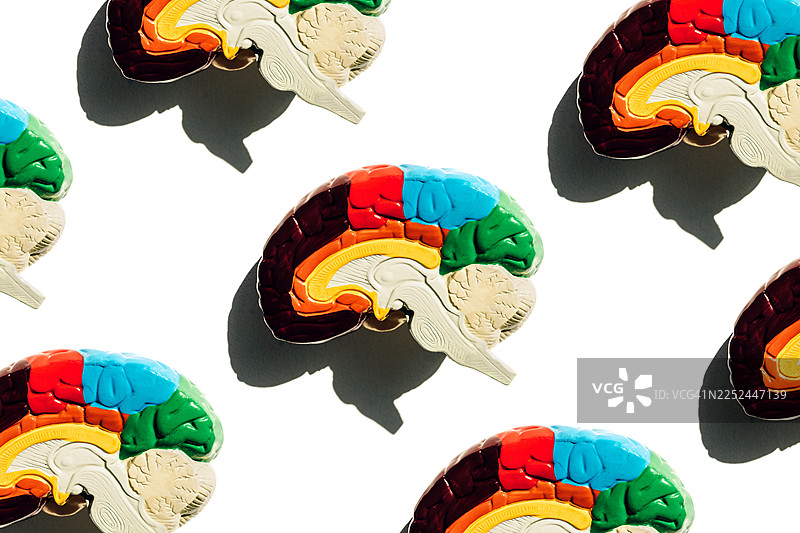 用于教育和科技领域神经科学、认知、学习和心理健康的彩色大脑模式模型图片素材