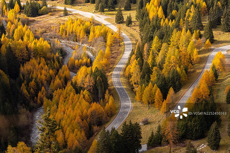 蜿蜒的山路穿过生机勃勃的秋季森林，金色的落叶松和常青的松树，布雷加利亚，瑞士，马洛亚山口图片素材