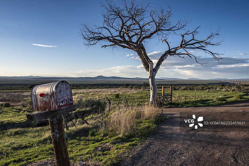 美国卡森乡村景色，一个旧邮箱、一棵枯树和一条土路在广阔的蓝天下图片素材