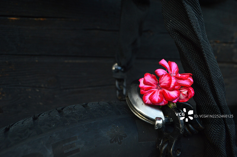 深色木质背景下，一朵鲜艳的粉色花朵点缀着轮胎和链条的工业场景图片素材