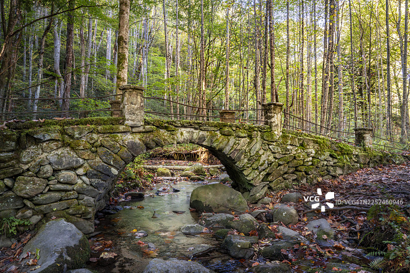 郁郁葱葱的森林中，一座古老而布满青苔的石桥横跨宁静的溪流图片素材
