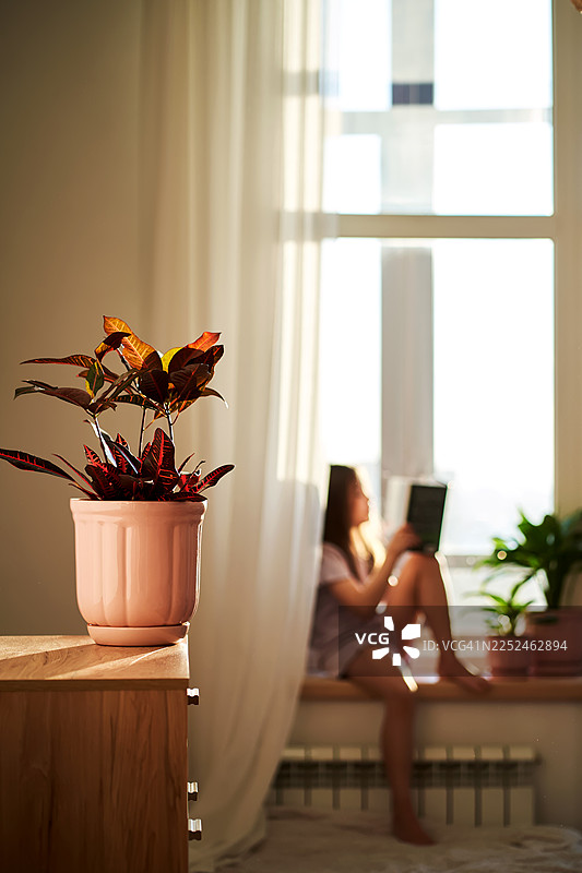 一位女士在家中放松，坐在明亮的窗边，沉浸在阅读中，前景中有一盆盆栽植物。图片素材