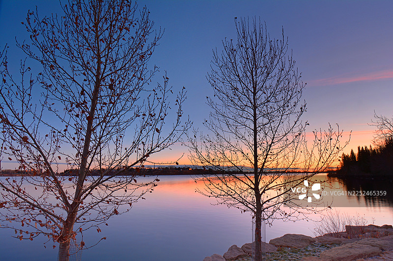 卡尔加里，加拿大，宁静的湖面上，光秃秃的树木在色彩鲜艳的日落天空中投下剪影，倒映着黄昏的暖色调图片素材