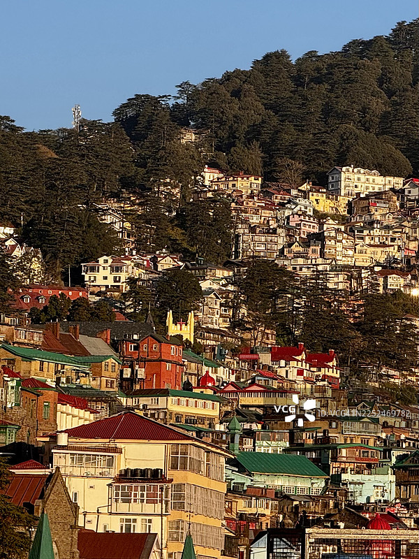 在晴朗的蓝天下，色彩鲜艳的房屋如瀑布般层叠在繁华城镇郁郁葱葱的绿色山坡上，沐浴在黄金时刻的光辉中，地点：印度西姆拉，马路图片素材