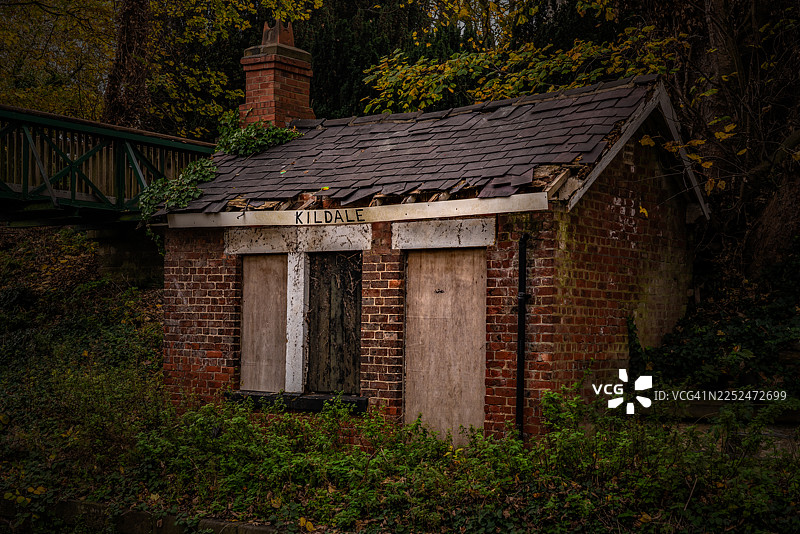 废弃的砖砌建筑，屋顶破败，窗户被木板封住，被森林中的植被覆盖，英国，基尔代尔图片素材