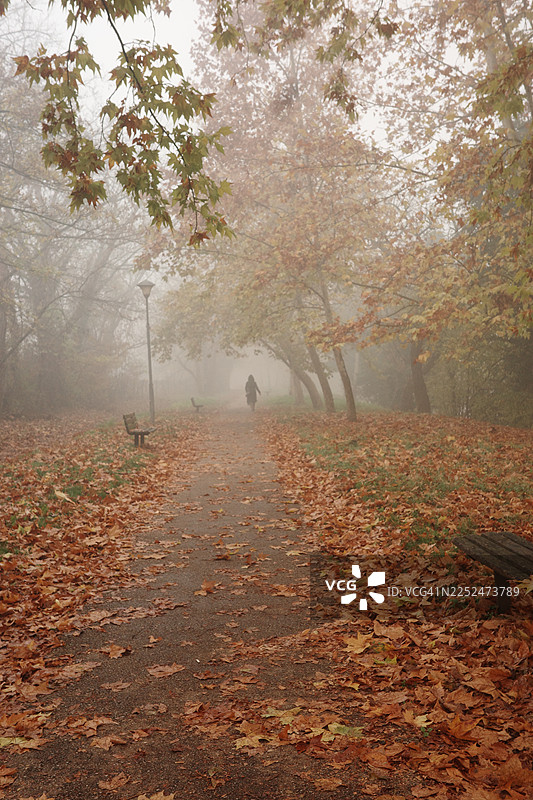 秋日薄雾笼罩的公园里，落叶铺满小径，一位孤独的身影缓缓走过，四周是层林尽染的树木，营造出宁静致远的氛围。波斯尼亚和黑塞哥维那，巴尼亚卢卡。图片素材