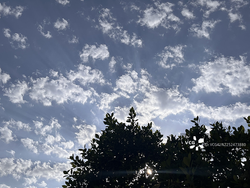 低角度拍摄，剪影树木映衬着散布云彩和阳光的蓝天图片素材