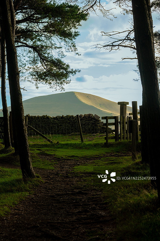 一条穿过黑暗树木的小路，在多云的天空下，通向阳光明媚的山丘，自然为框，罗奇代尔，英国，英国，班福德图片素材