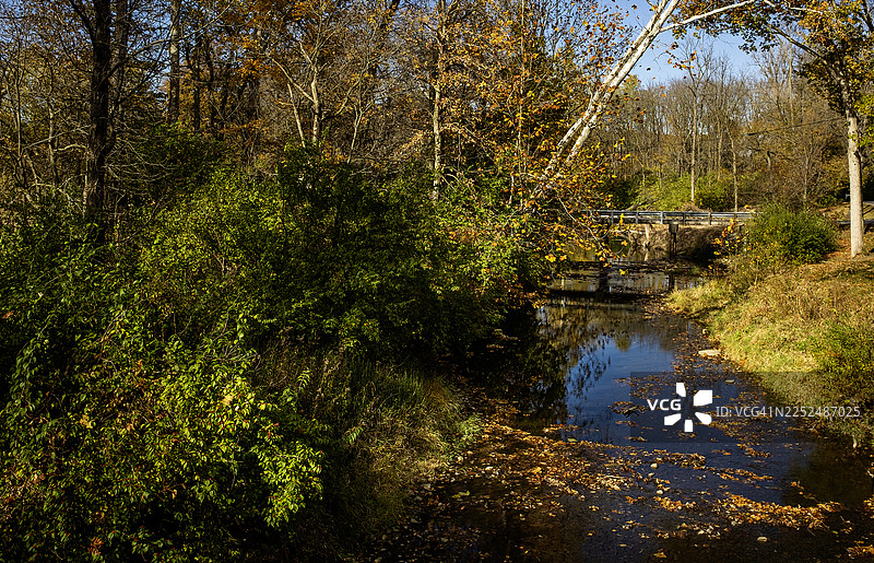 懒洋洋的小溪图片素材