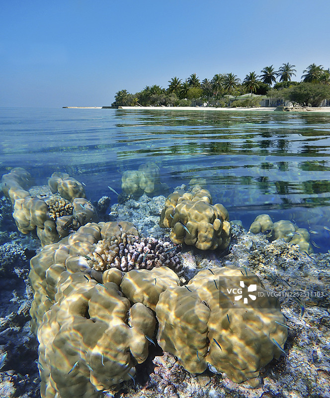 马尔代夫共和国,埃里亚杜岛(Eriyadu Island)或埃里亚杜岛(Eriyadoo Island)的分割式景观,包括水上和水下视角图片素材