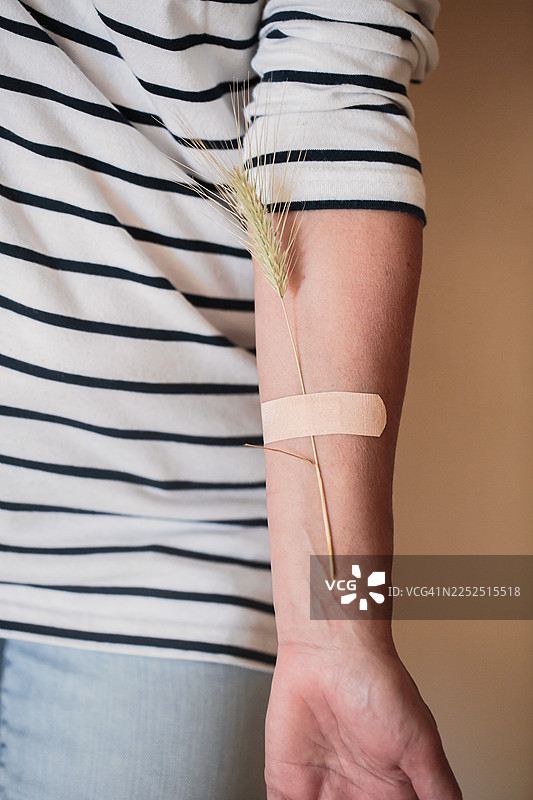 绷带缠绕手臂上的象征性麦穗图片素材