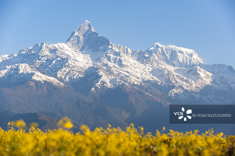 安纳布尔纳峰图片素材