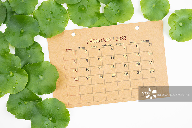 2026年2月棕色日历页面，白色背景上的绿叶。图片素材