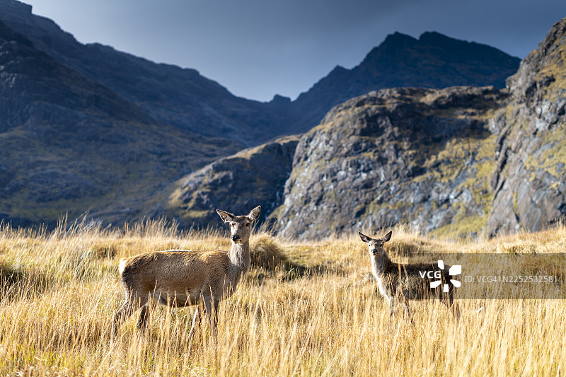 斯凯岛图片素材